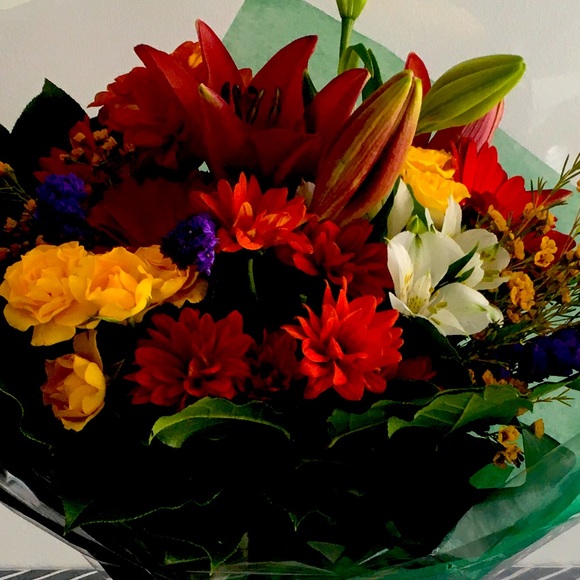 Meet your Posher, Joanie - Picture 1 of 1